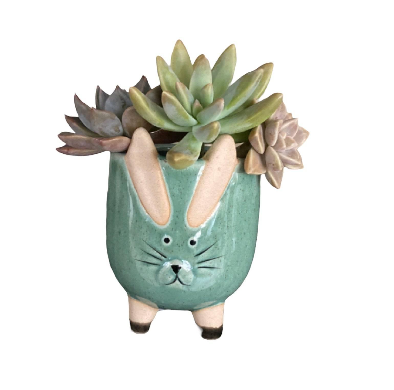 Plant Pot Planter Rabbit Greenery - The Renmy Store Homewares & Gifts 