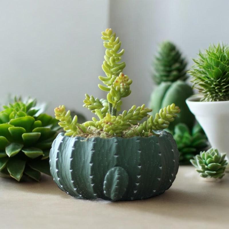 Pot Planter Cactus Mexican - The Renmy Store Homewares & Gifts 