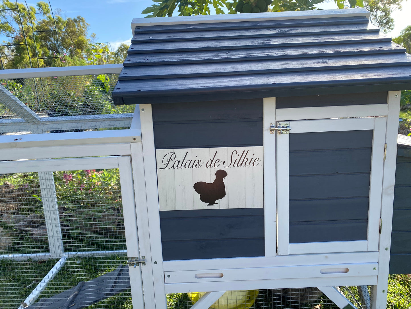 Silkie Chicken Palace French Palais De Sign