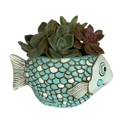 Fish Blue Funky Pot Planter Plant Small - The Renmy Store Homewares & Gifts 