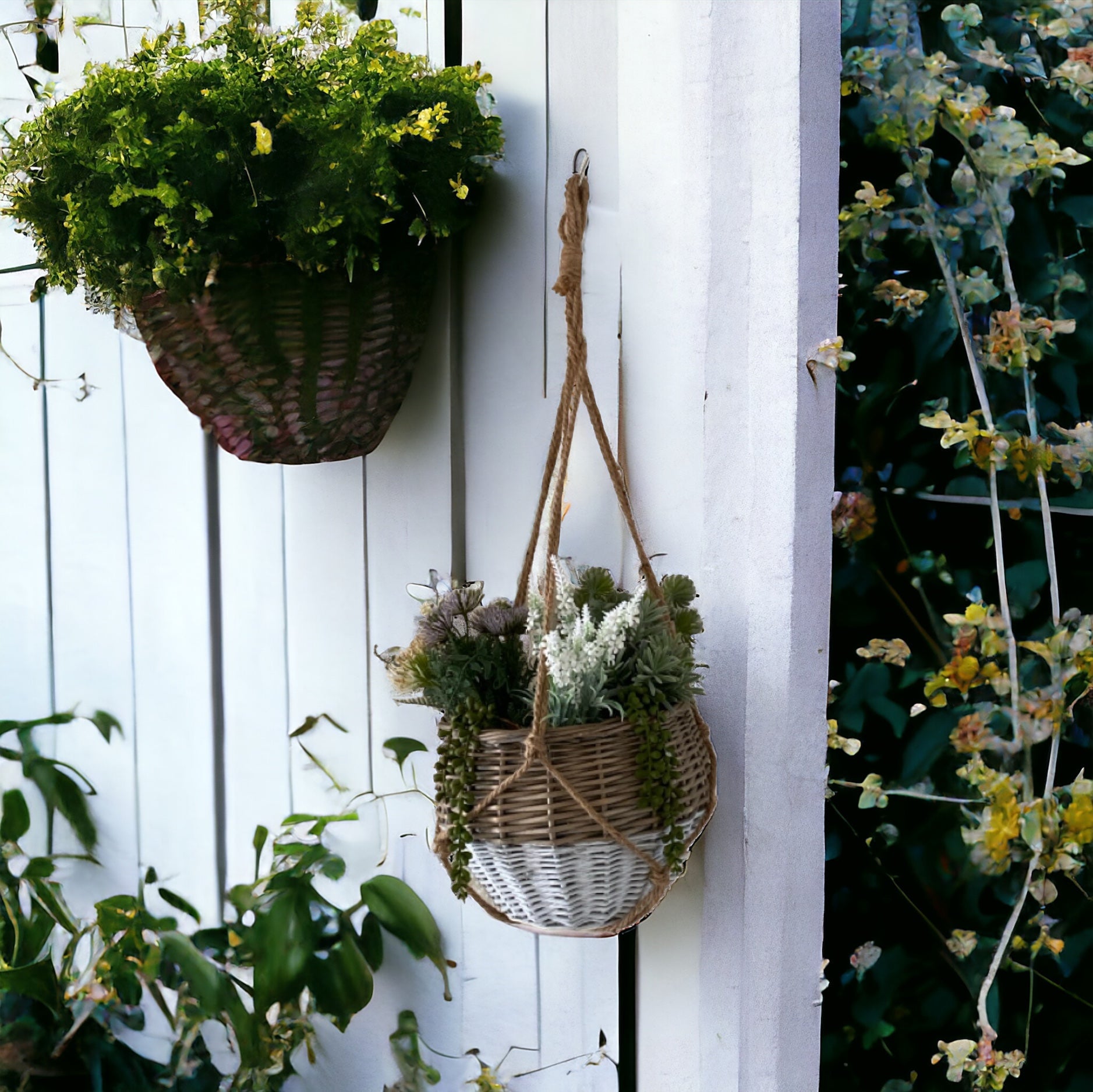 Pot Planter Plant Basket Hanging - The Renmy Store Homewares & Gifts 
