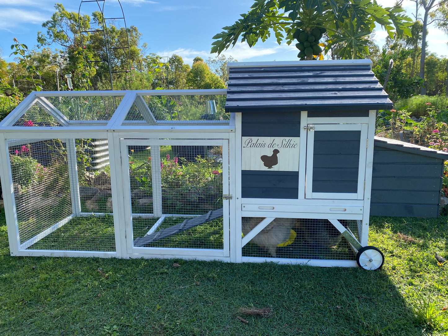 Farm Fresh Silkie Eggs Sign