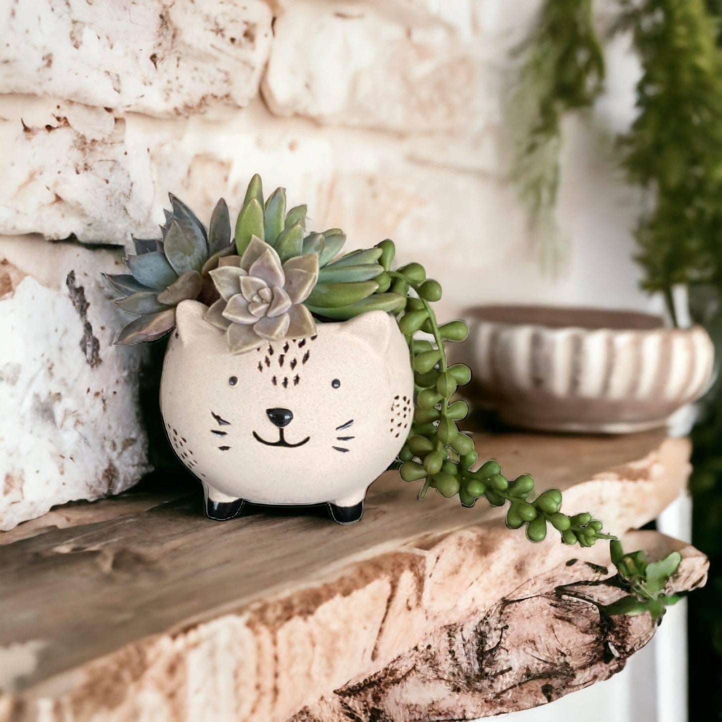 Plant Pot Planter Set of 6 Animals - The Renmy Store Homewares & Gifts 