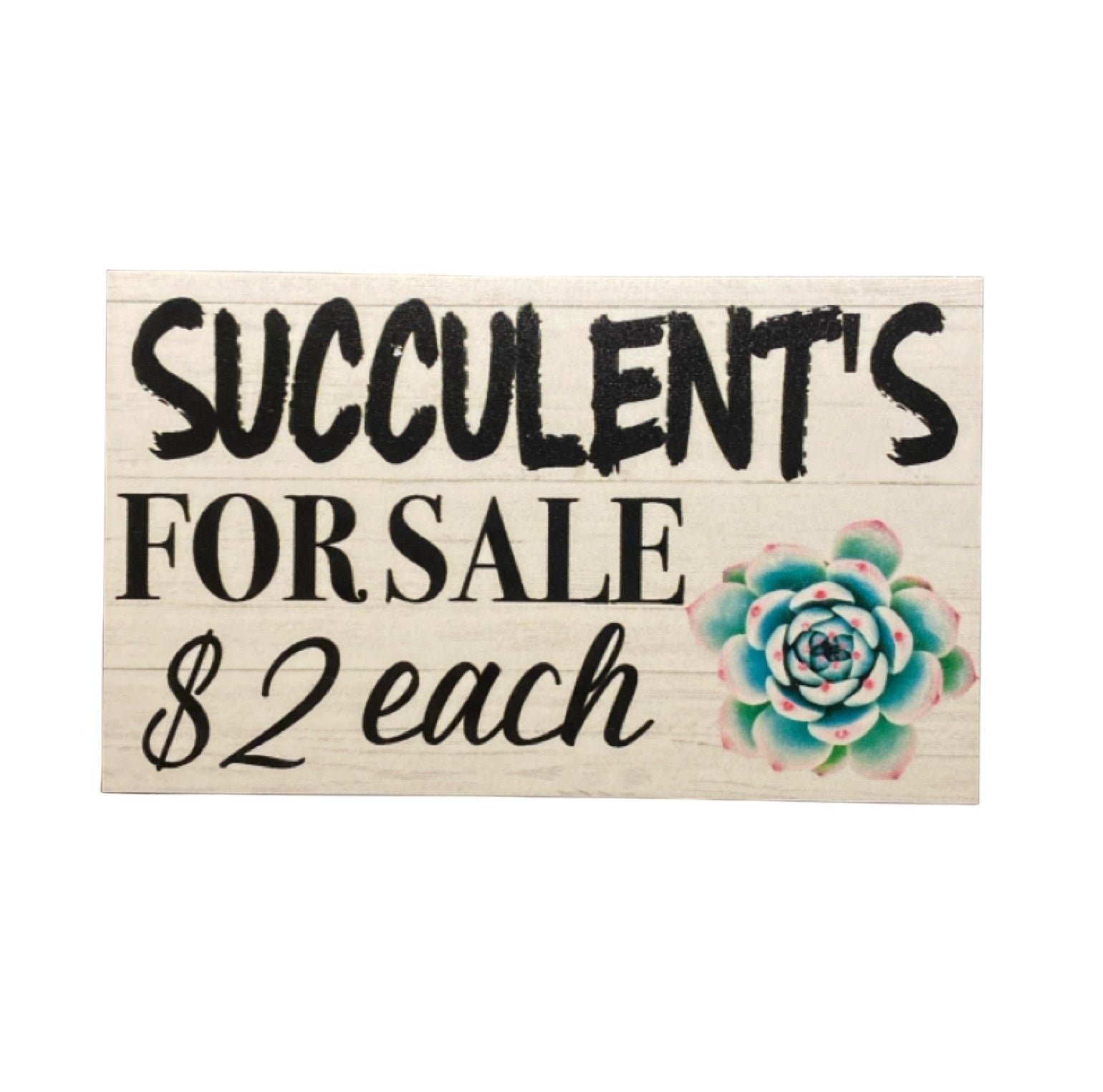 Succulents For Sale Farm Road Stall Custom Homesteading Sign - The Renmy Store Homewares & Gifts 