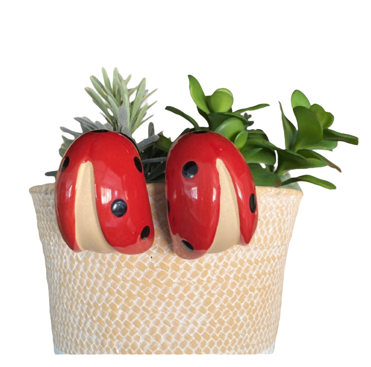 Ladybeetle Pot Sitter Hanger Planter x 2 - The Renmy Store Homewares & Gifts 