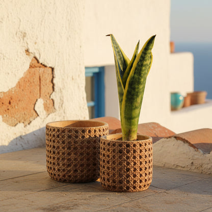 Wicker Style Planter Pot - Cement Mediterranean Garden