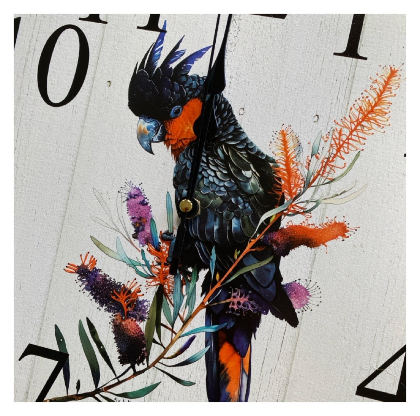 Black Cockatoo Red Tail Wall Clock | Aussie Made 30cm 60cm