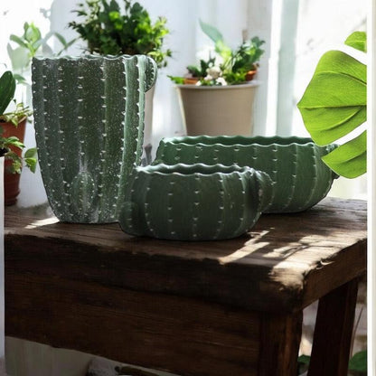 Pot Planter Cactus Mexican - The Renmy Store Homewares & Gifts 