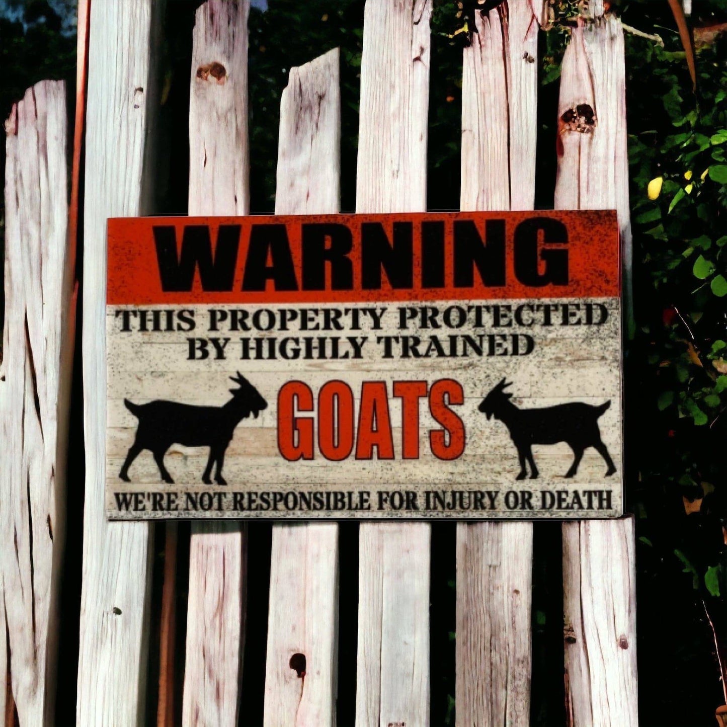 Goat Lover Two Socks and Warning Goat Sign Gift Set