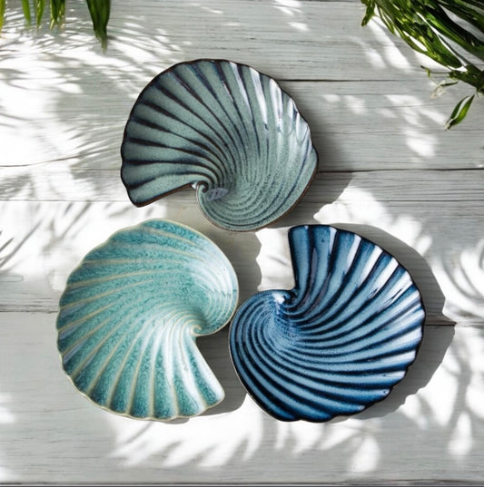 Plate Shell Coastal Beach House Kitchen