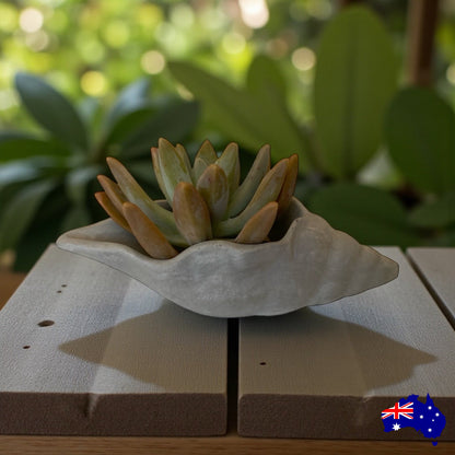 Planter Pot Shell Long Aussie Handmade Concrete