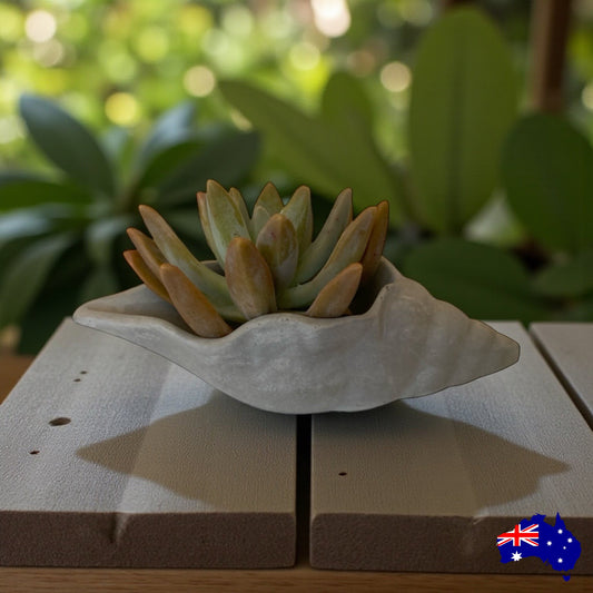 Planter Pot Shell Long Aussie Handmade Concrete