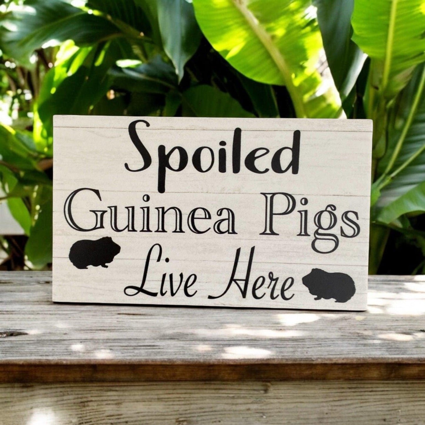 Spoiled Guinea Pigs Live Here Sign