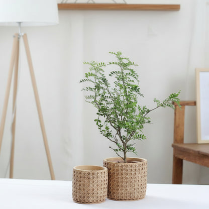 Wicker Style Planter Pot - Cement Mediterranean Garden