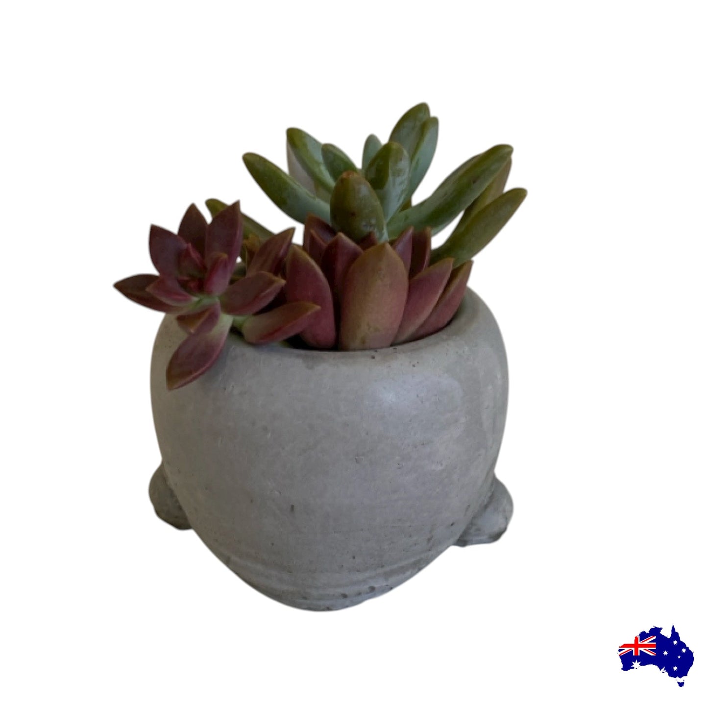 Planter Pot Whale Aussie Handmade Concrete
