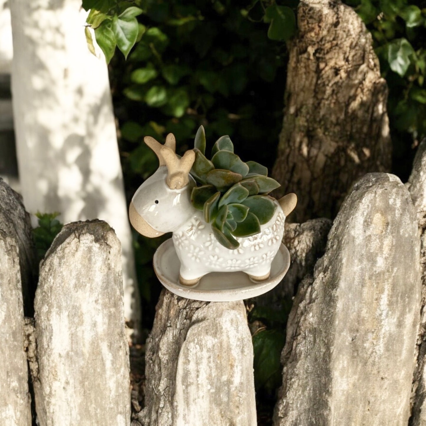 Deer Rustic White Pot Planter Succulent