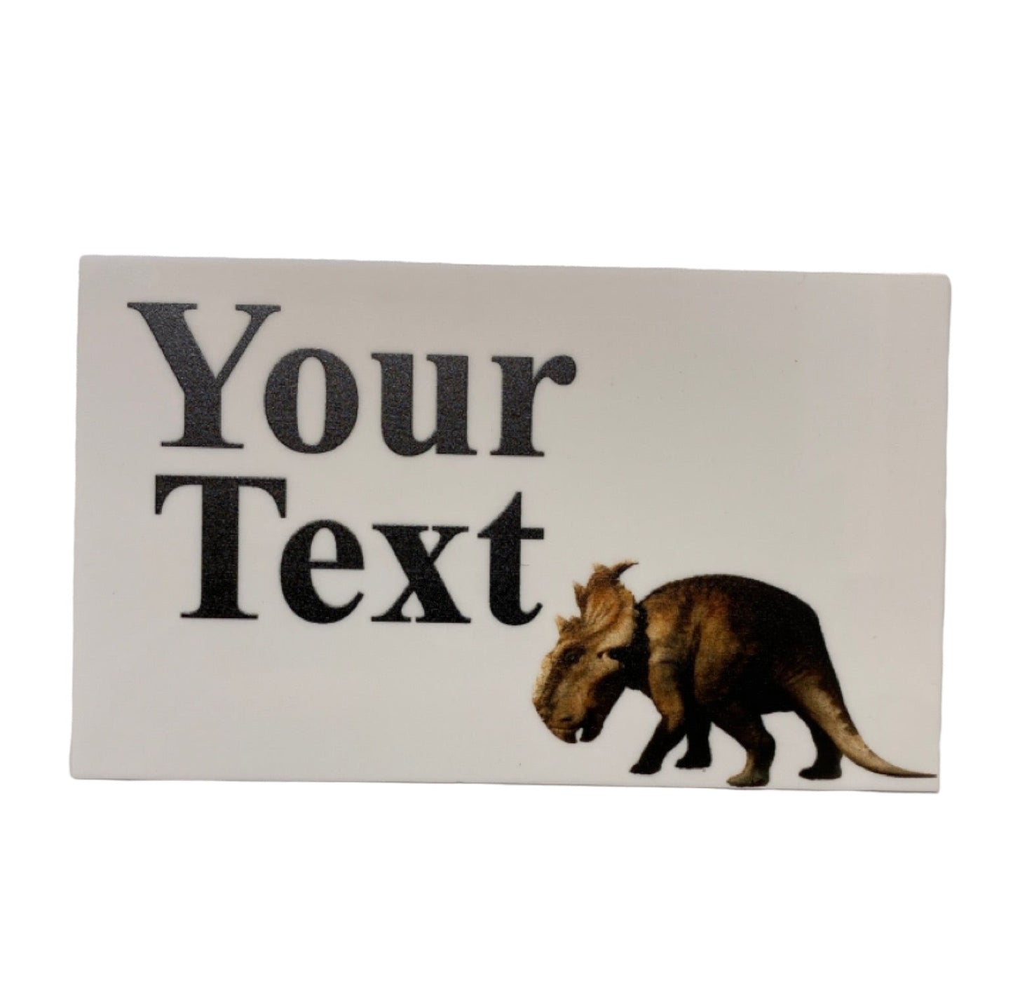 Dinosaur Triceratops Custom Personalised Sign - The Renmy Store Homewares & Gifts 