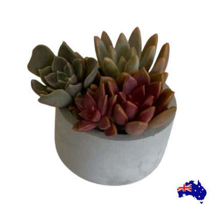 Planter Pot Round Candle Holder Aussie Handmade Concrete