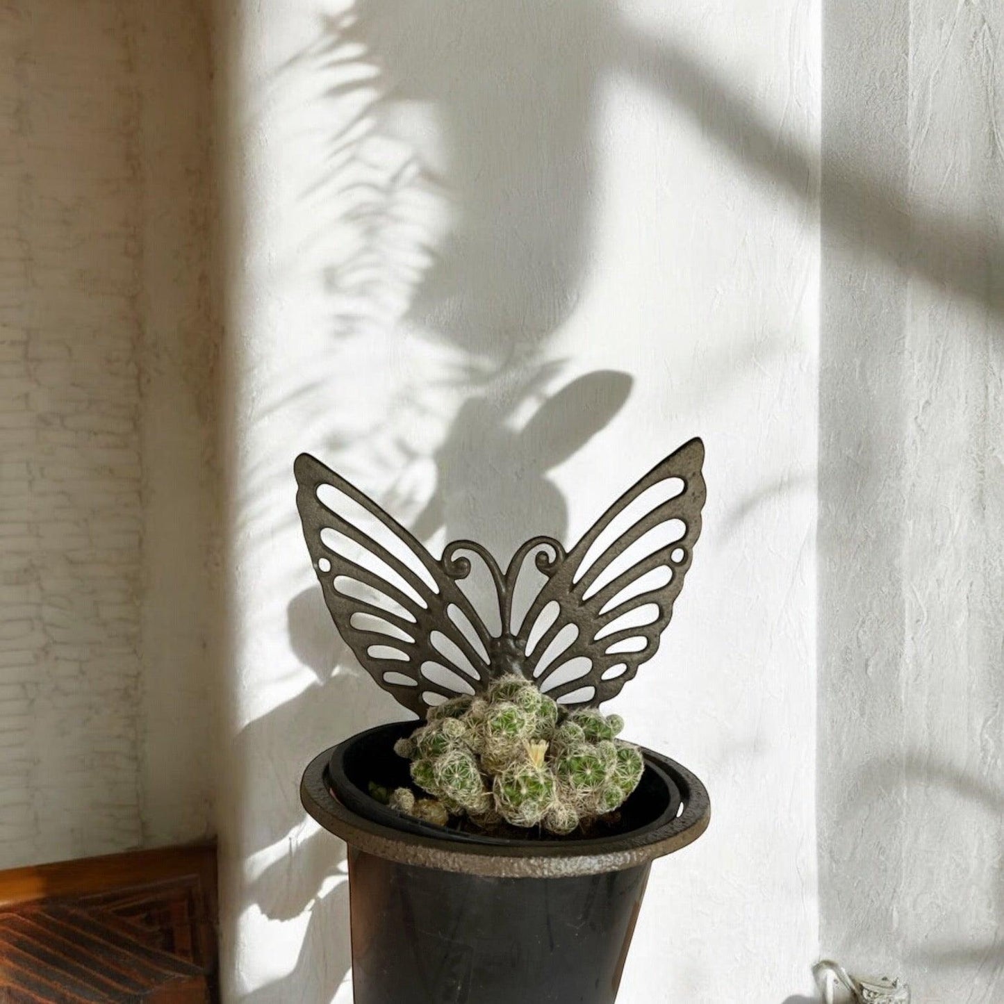 Planter Pot Wall Stand Butterfly Rustic Iron - The Renmy Store Homewares & Gifts 