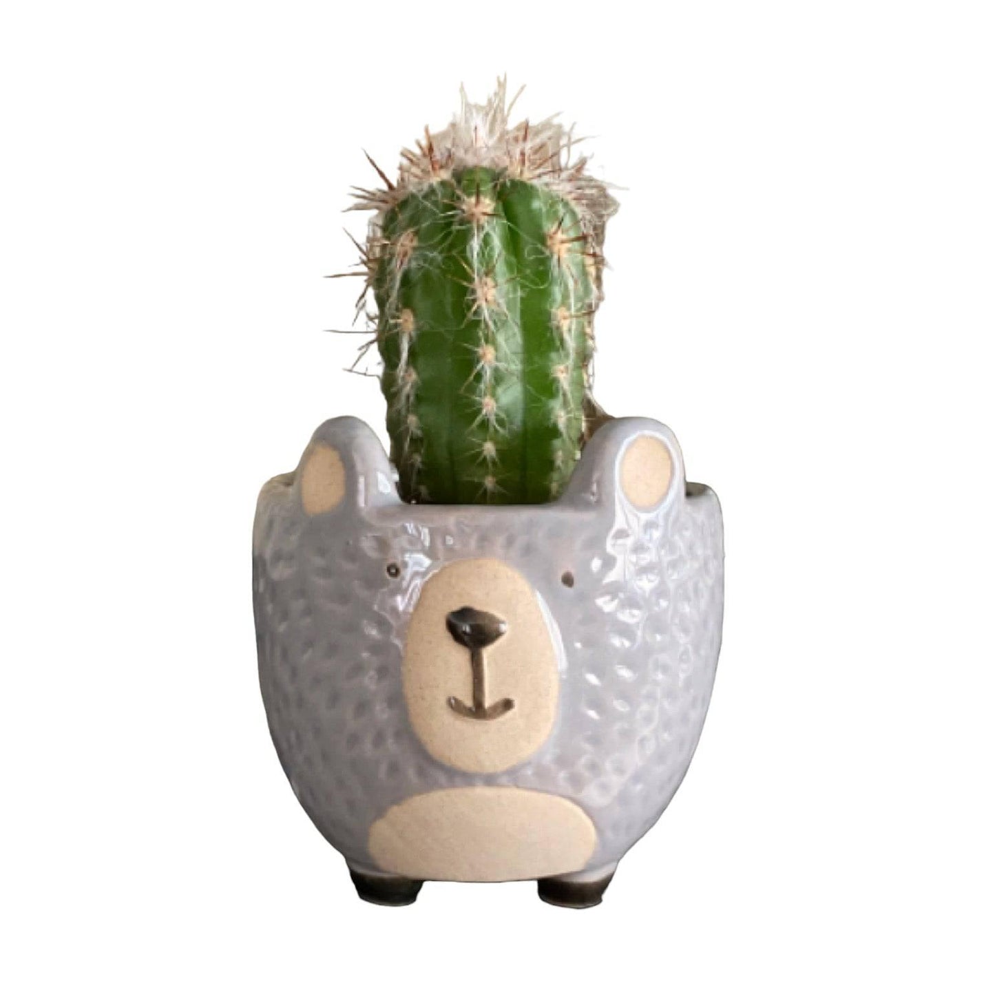 Plant Pot Planter Woodland Bear - The Renmy Store Homewares & Gifts 