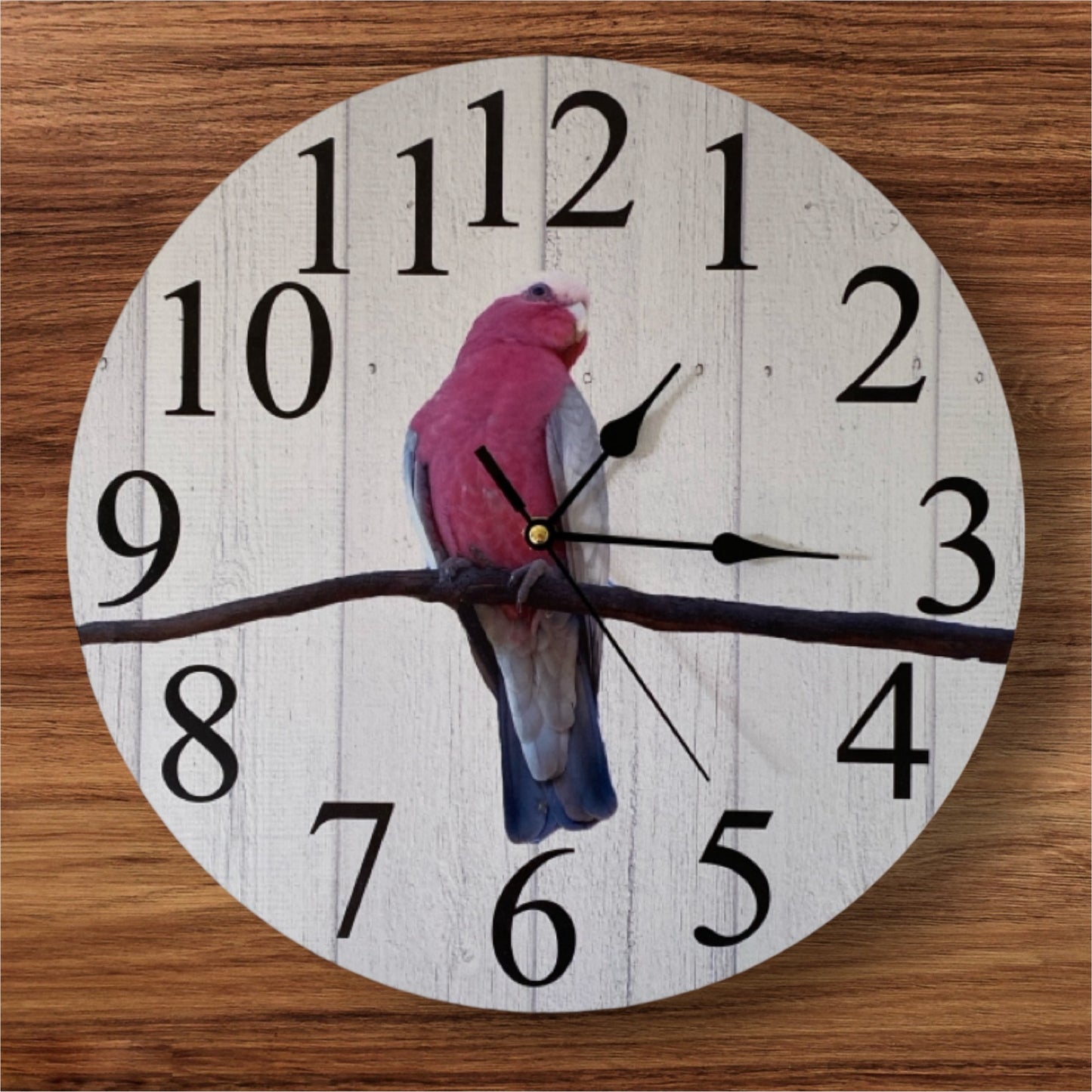 Clock Wall Galah Bird Cockatoo Aussie Made