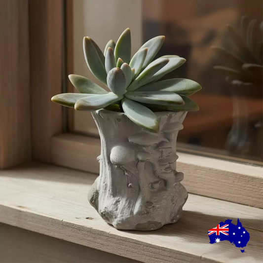 Planter Pot Mushroom Tree Baby Aussie Handmade Concrete