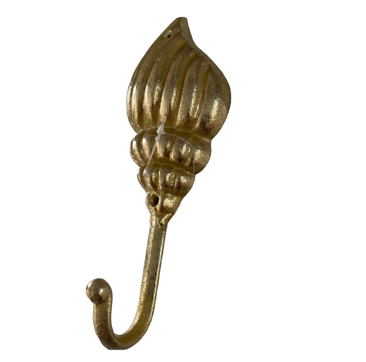 Hook Shell Gold Coastal Beach - The Renmy Store Homewares & Gifts 