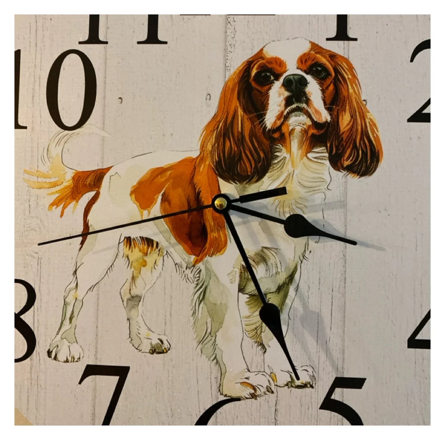 Clock Wall Dog Cavalier King Charles Spaniel 30cm 60cm Aussie Made