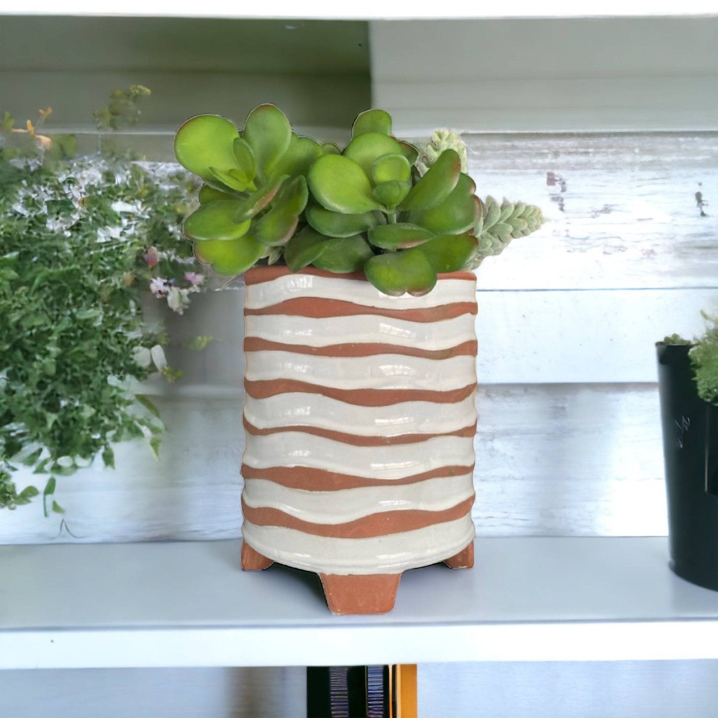 Geo Lines Plant Pot - The Renmy Store Homewares & Gifts 