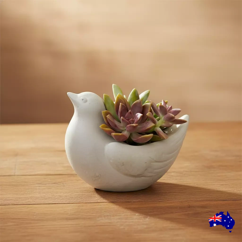 Bird Planter Pot | Handmade Concrete Cottage Aussie Made Succulent Pot ...