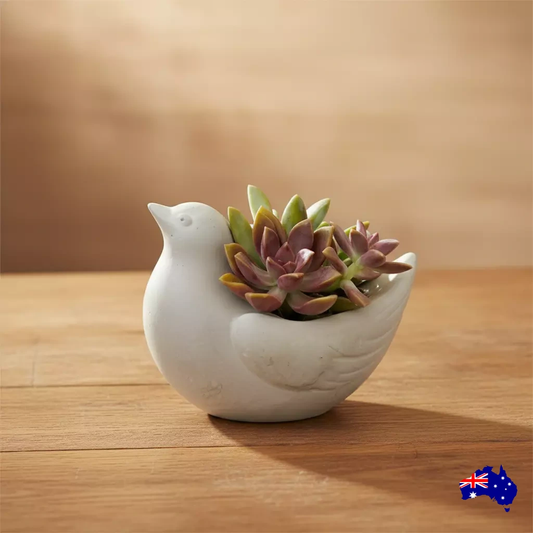 Planter Pot Birdie Bird Aussie Handmade Concrete