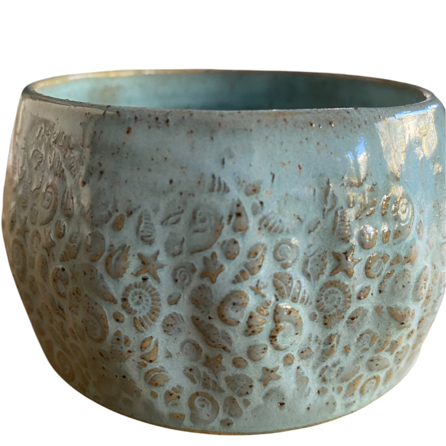 Handmade Seashells Starfish Light Blue Ceramic Mug | Aussie Made Wolf and Clay Coastal Gift