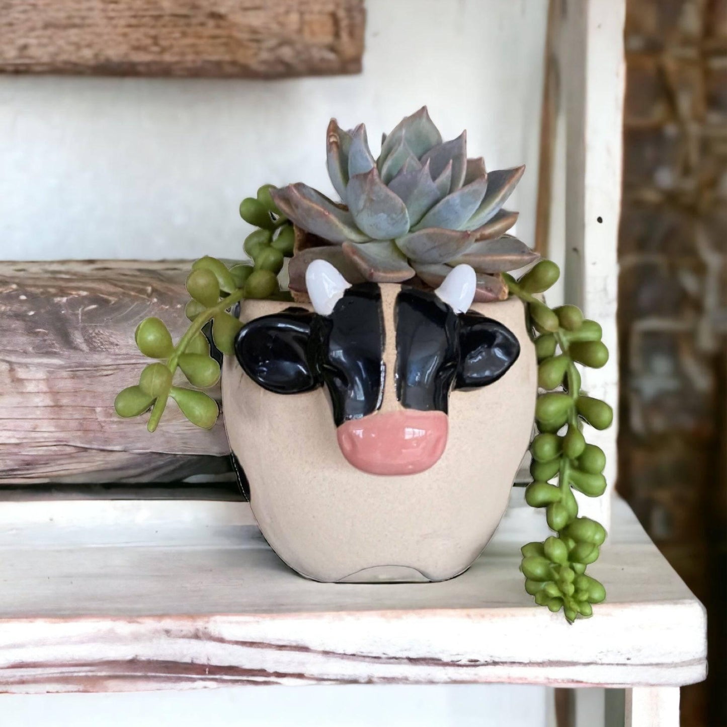 Plant Pot Planter Farmhouse Cow - The Renmy Store Homewares & Gifts 