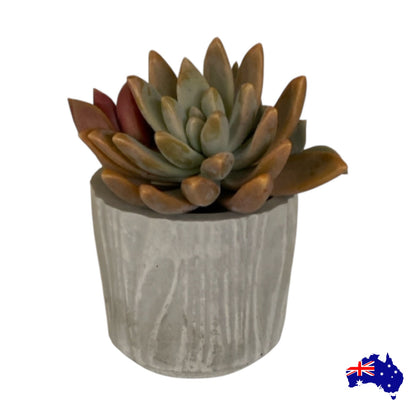Planter Pot Round Rustic Texture Holder Aussie Handmade Concrete