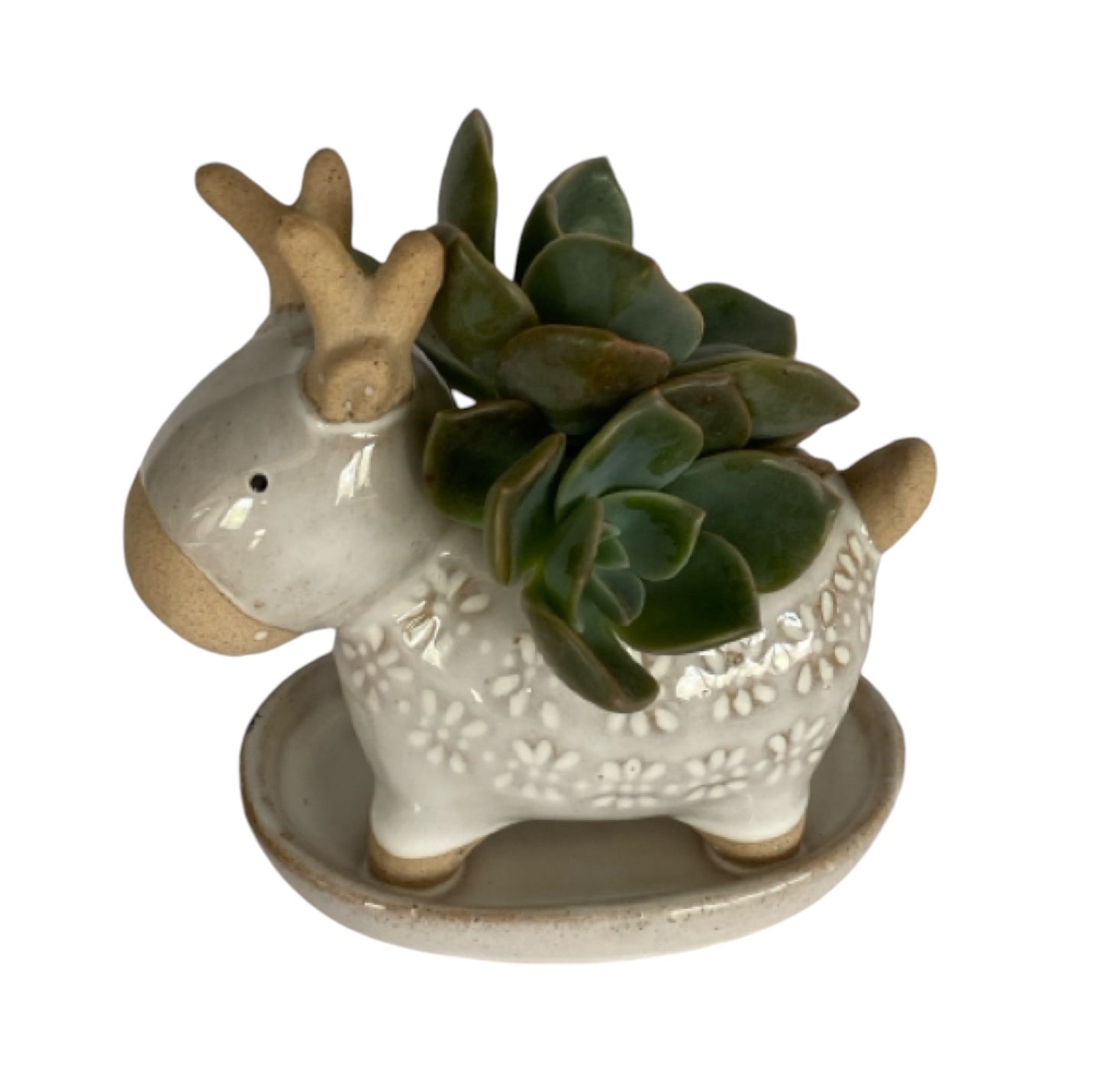 Deer Rustic White Pot Planter Succulent