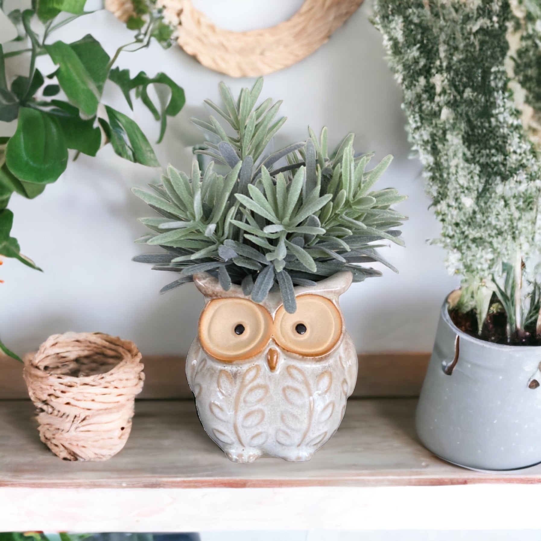 Plant Pot Planter Owl Natural - The Renmy Store Homewares & Gifts 