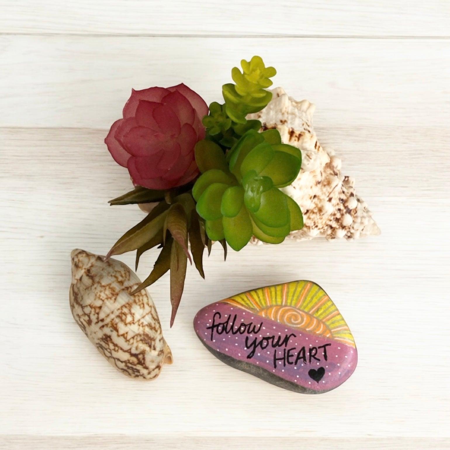 Air Plant Succulent Shell Follow Your Heat Rock Gift - The Renmy Store Homewares & Gifts 