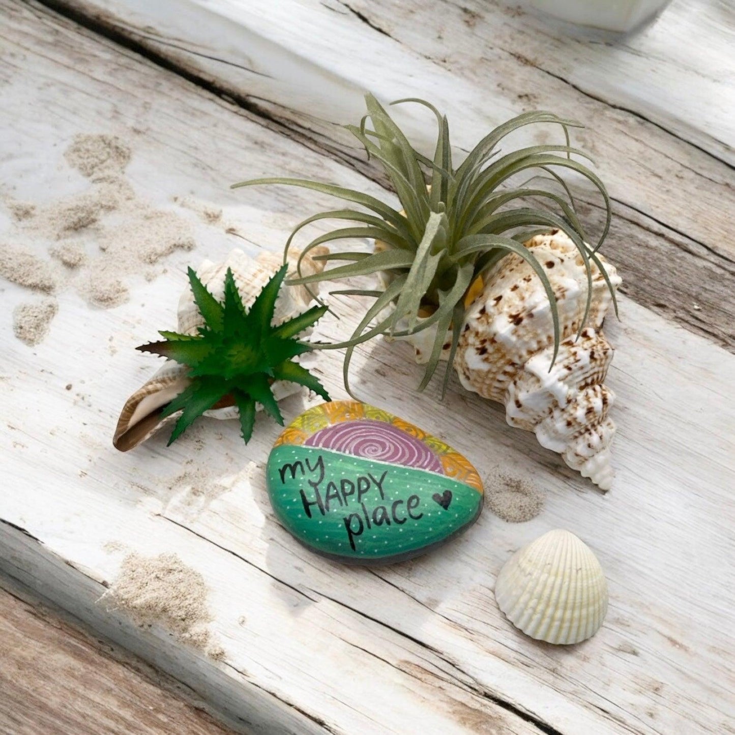 Air Plant Succulent Shell Happy Place Rock Gift - The Renmy Store Homewares & Gifts 