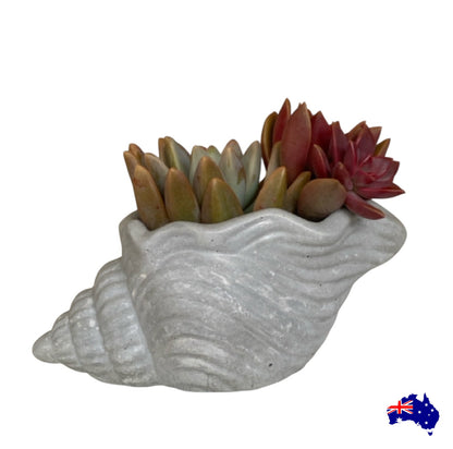 Planter Pot Shell Coastal Aussie Handmade Concrete