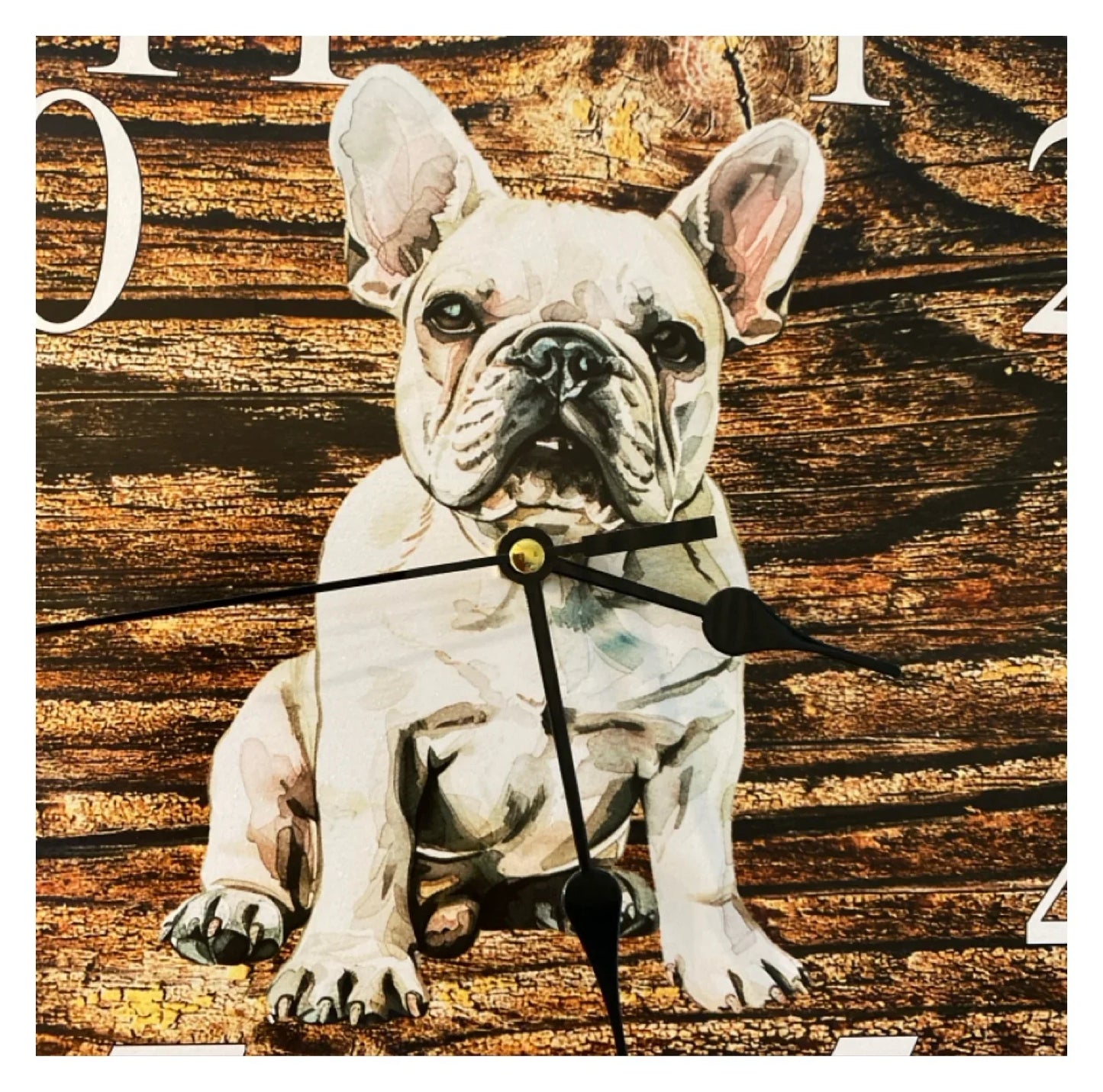 Clock Wall Dog Frenchie French Bulldog Puppy 30cm 60cm Aussie Made