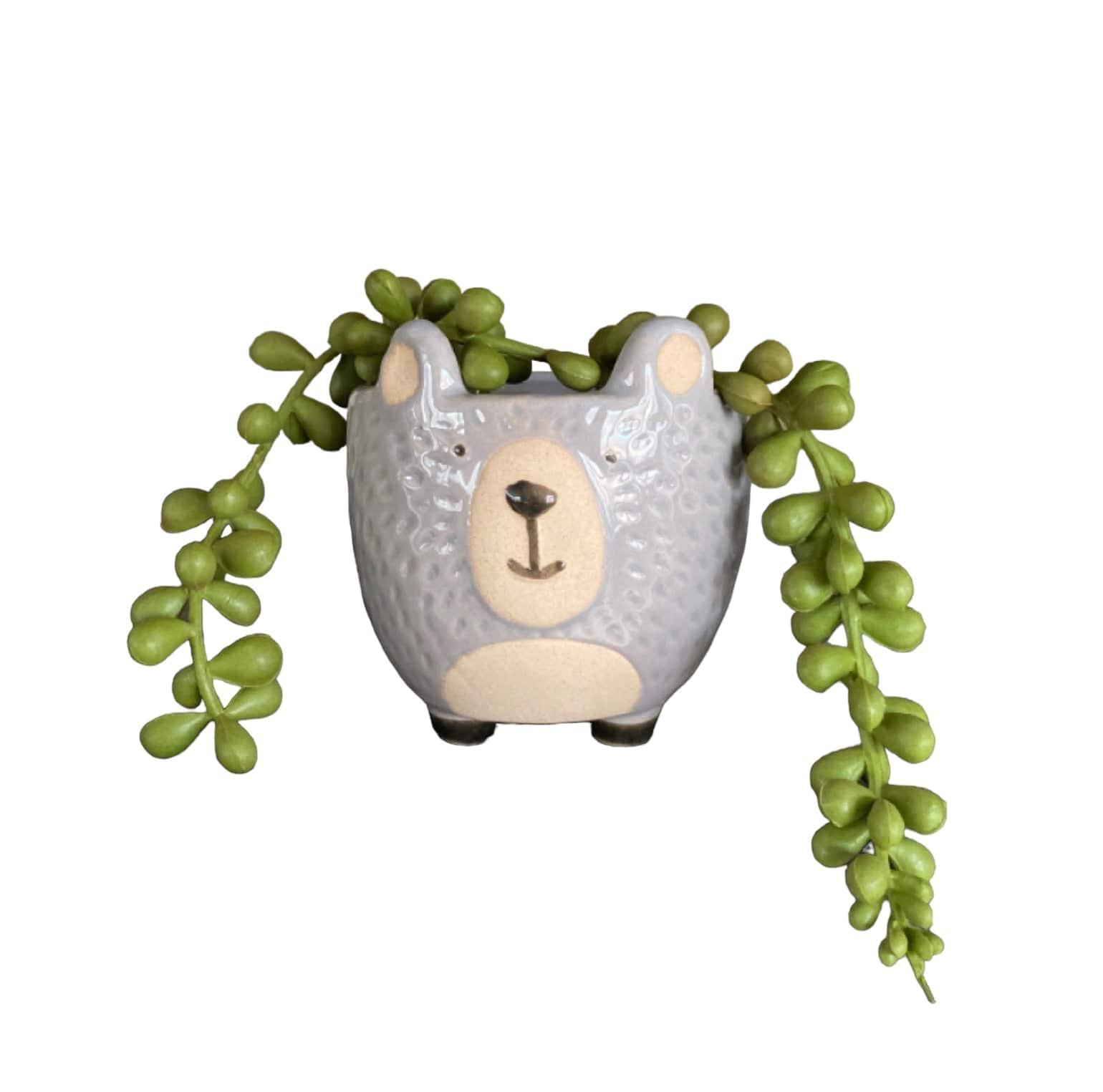 Plant Pot Planter Woodland Bear - The Renmy Store Homewares & Gifts 