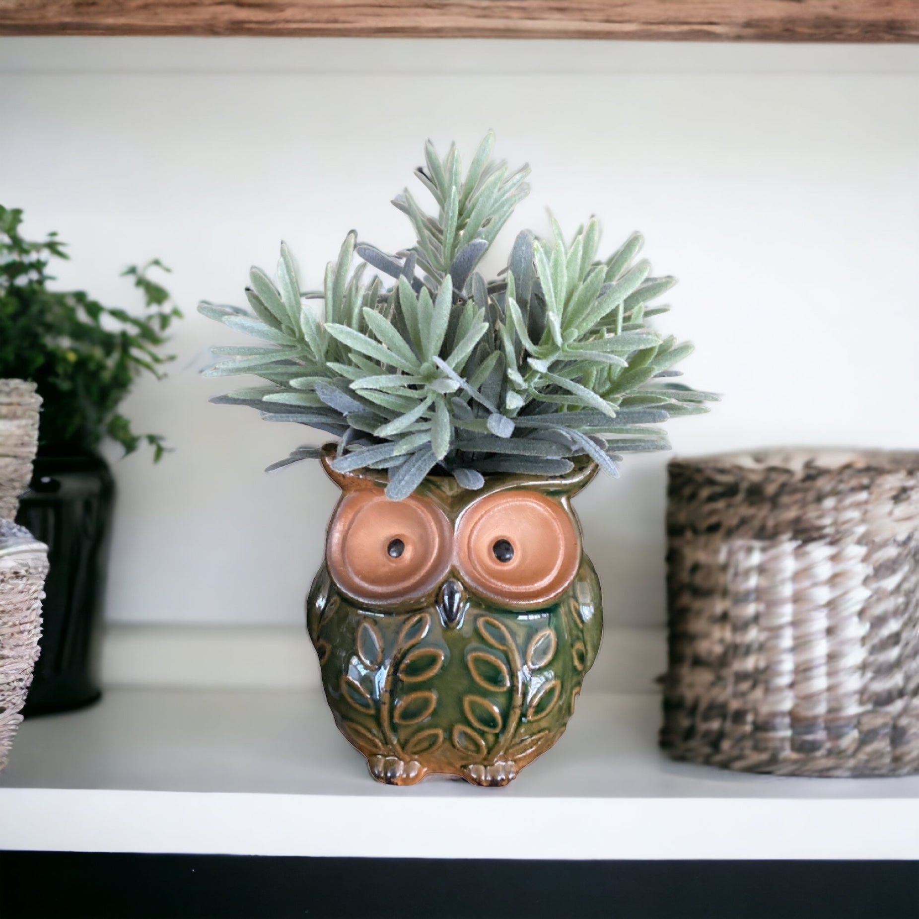 Plant Pot Planter Owl Green - The Renmy Store Homewares & Gifts 