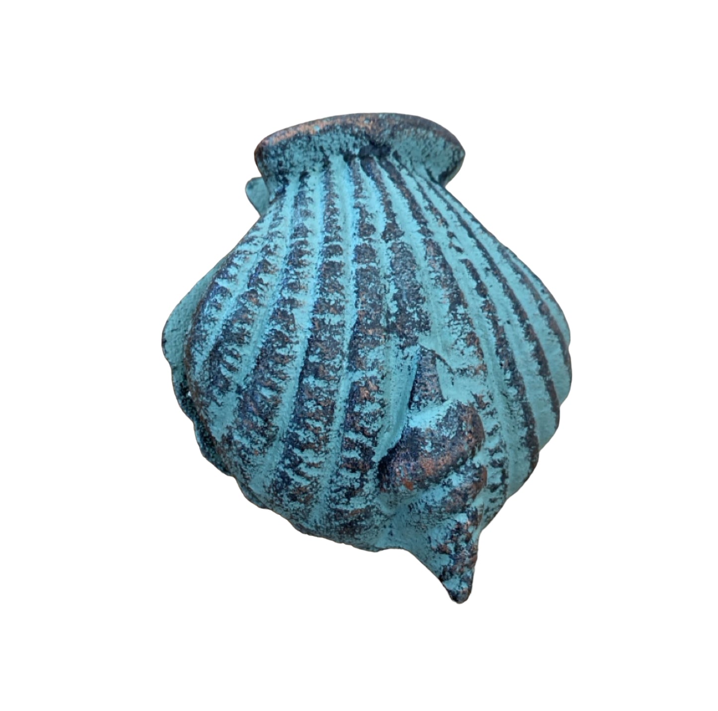 Door Knocker Shell Beach House - The Renmy Store Homewares & Gifts 