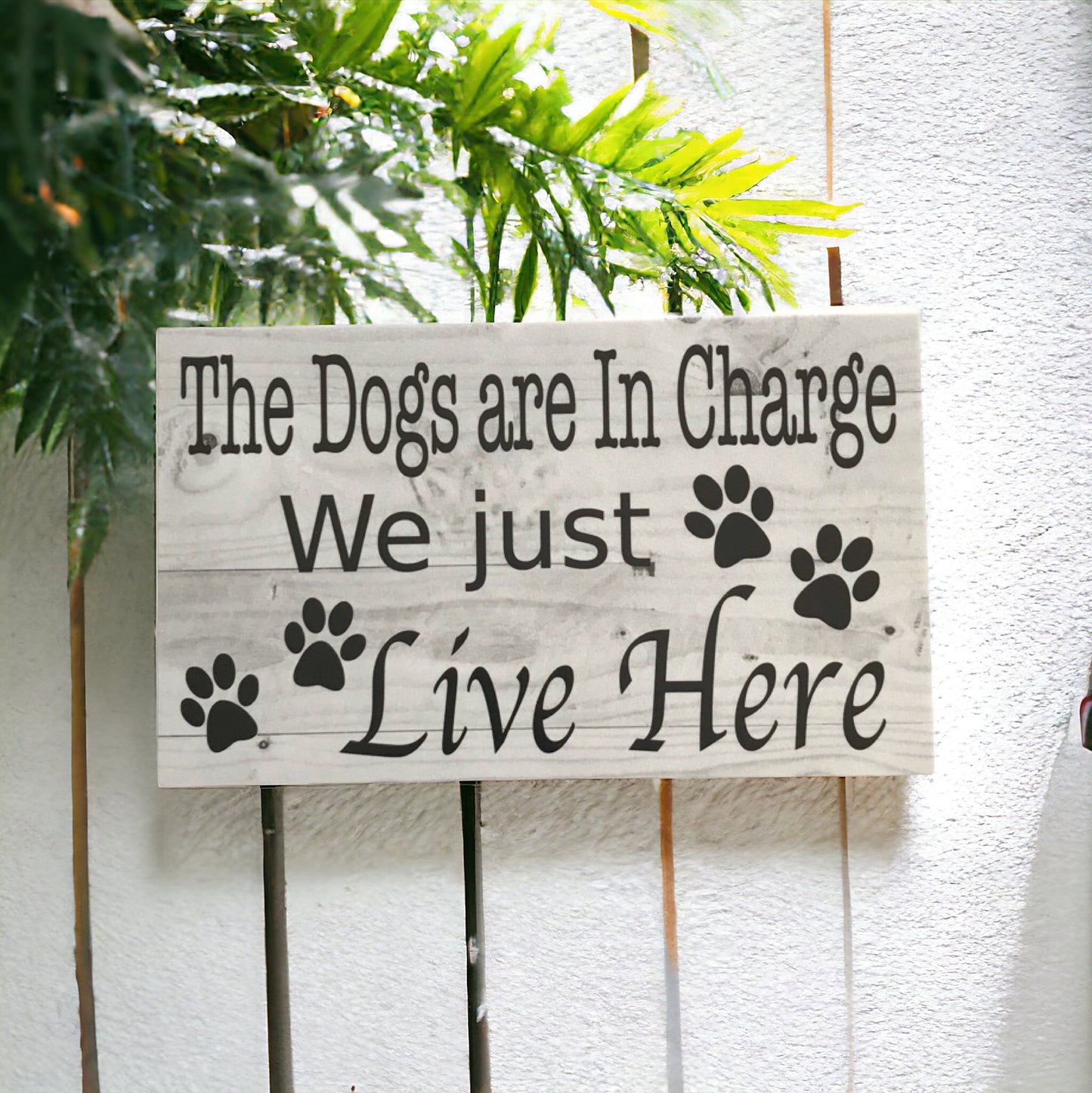 The Dogs Are In Charge We Just Live Here Sign - The Renmy Store Homewares & Gifts 