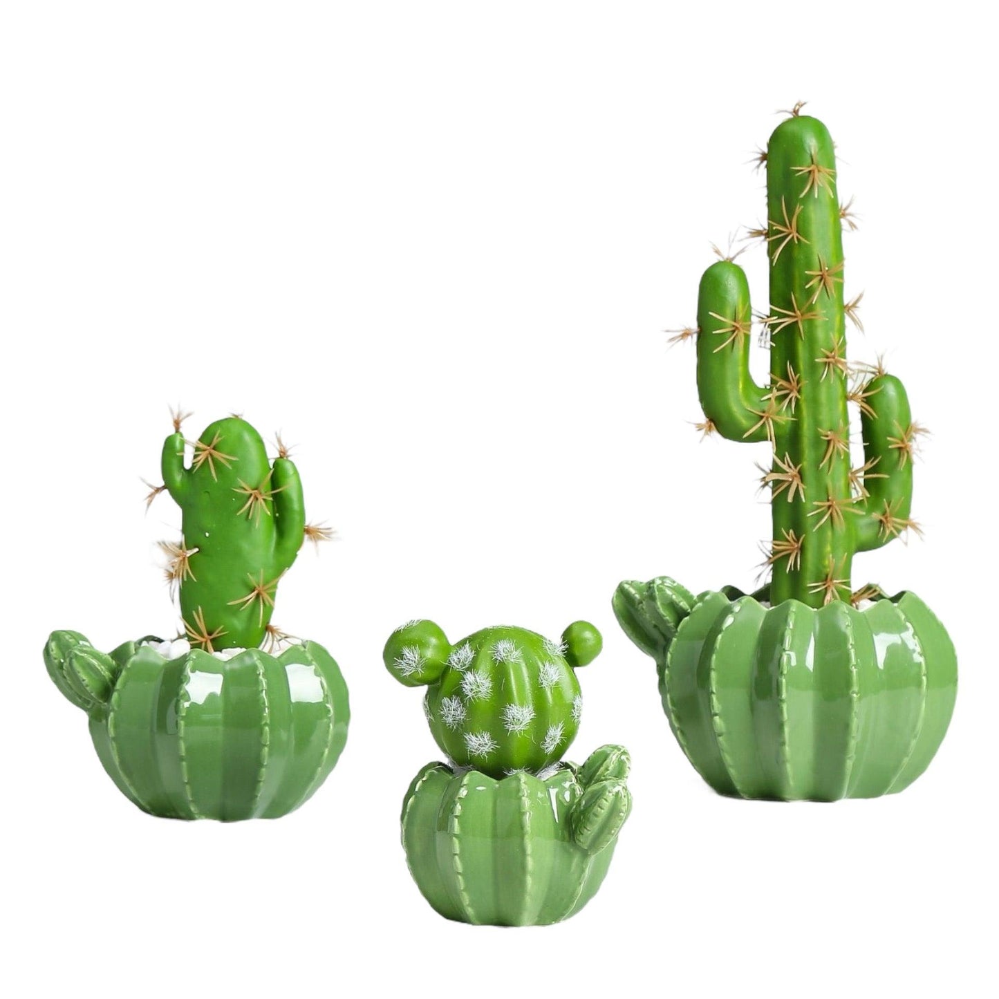 Pot Planter Cactus Garden - The Renmy Store Homewares & Gifts 