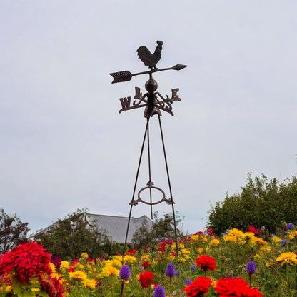 Wind Vane Rooster Chicken Vintage Cast Iron - The Renmy Store Homewares & Gifts 