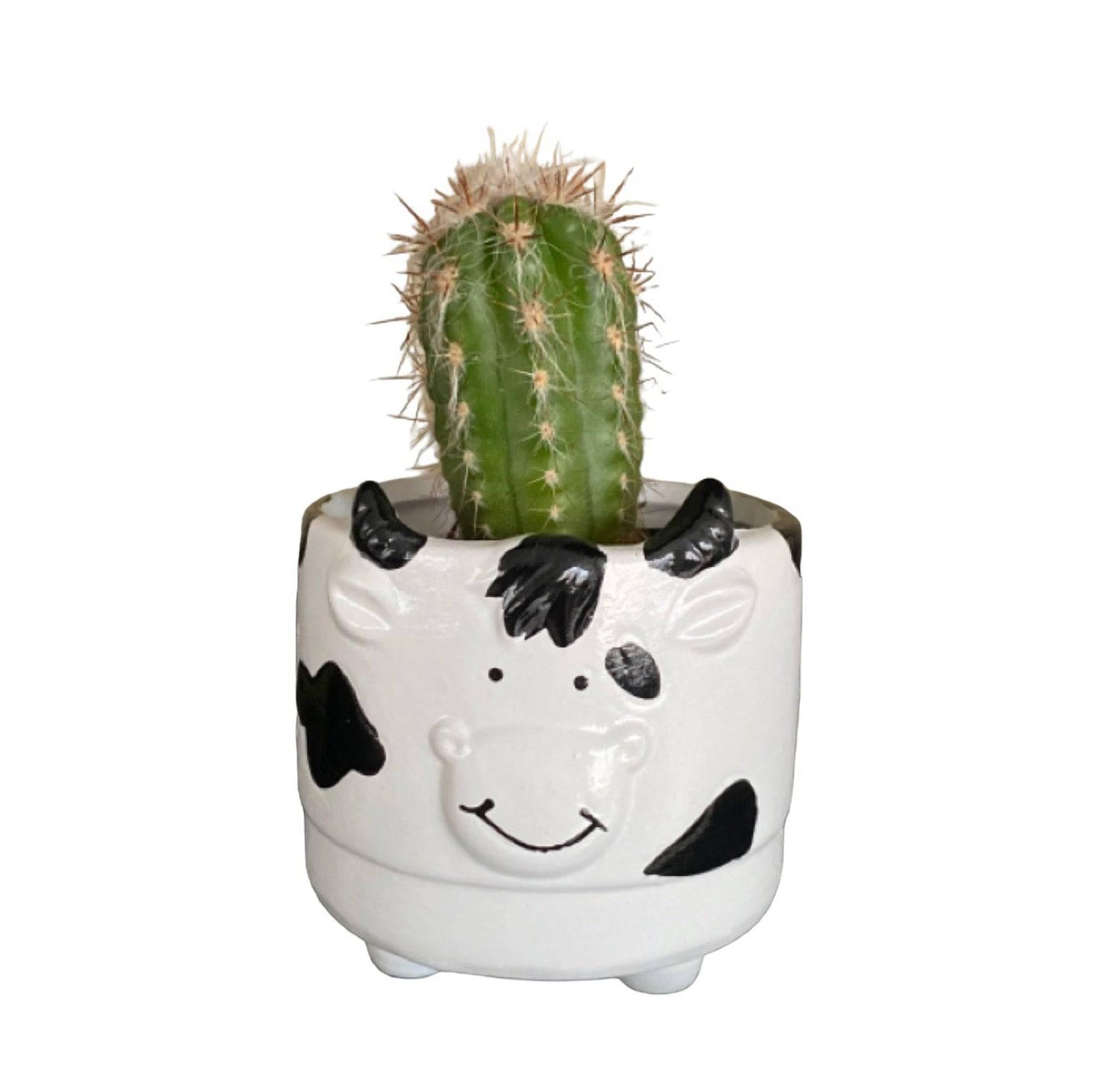 Plant Pot Planter Cow Moo - The Renmy Store Homewares & Gifts 