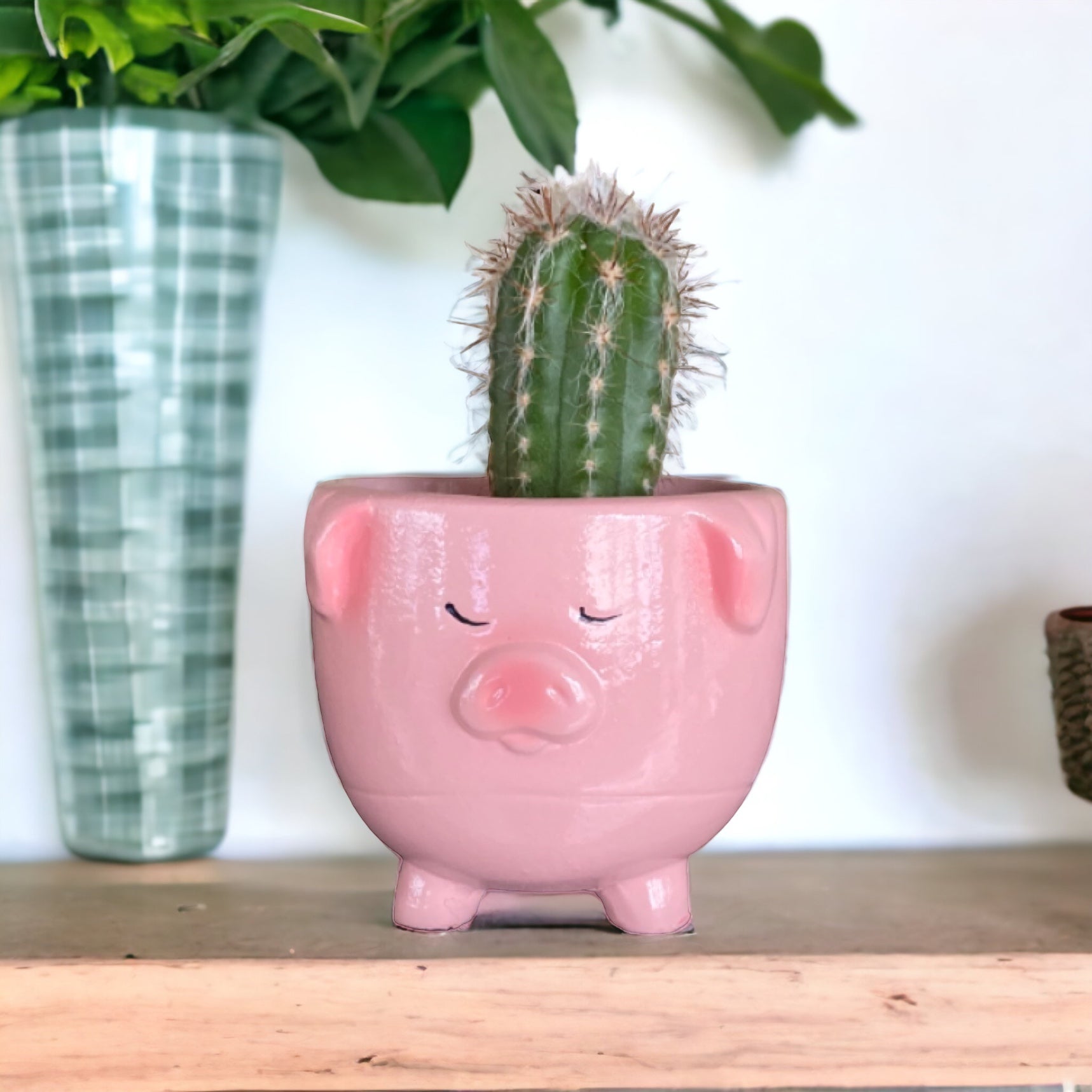 Plant Pot Planter Pig Pinky - The Renmy Store Homewares & Gifts 