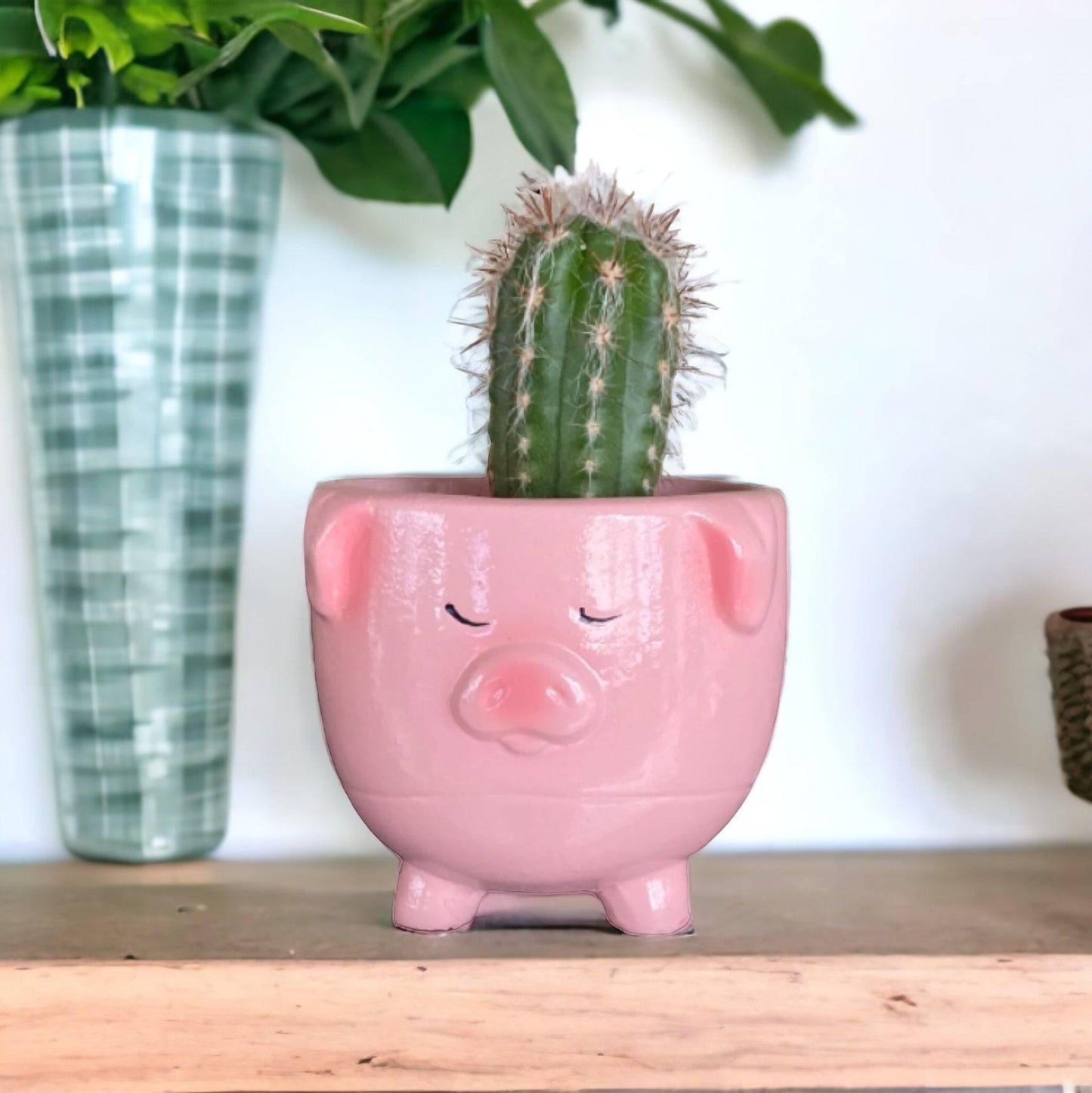 Plant Pot Planter Pig Pinky - The Renmy Store Homewares & Gifts 