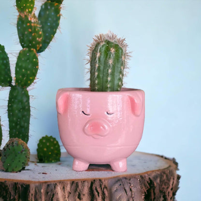 Plant Pot Planter Pig Pinky - The Renmy Store Homewares & Gifts 